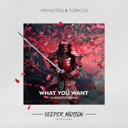 Cover of What You Want (Sharapov Remix)