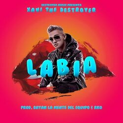 Cover of Labia