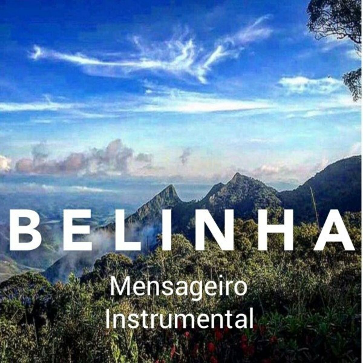 Album cover of Mensageiro (Instrumental)