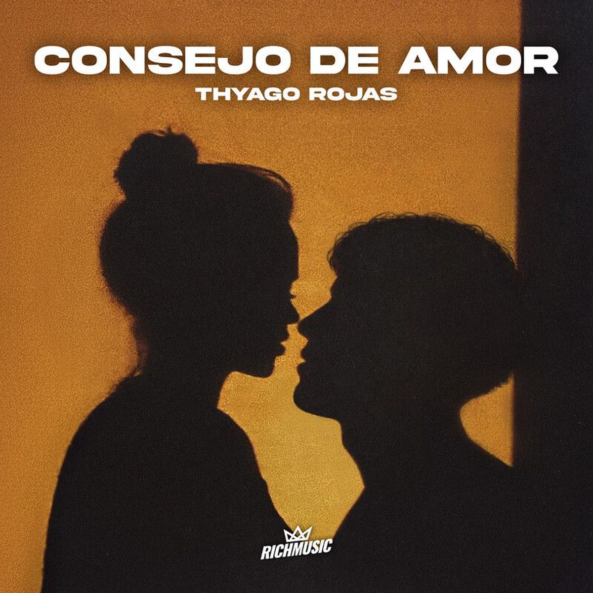Album cover of Consejo de Amor