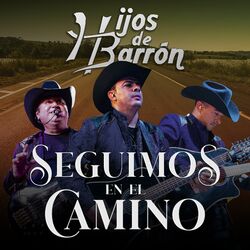 Cover of Seguimos en el Camino