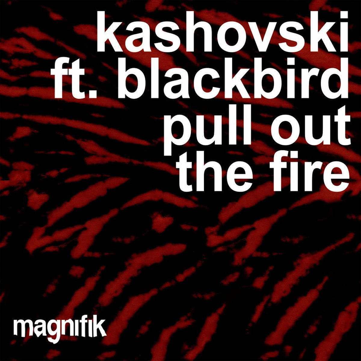 Album cover of Pull Out The Fire