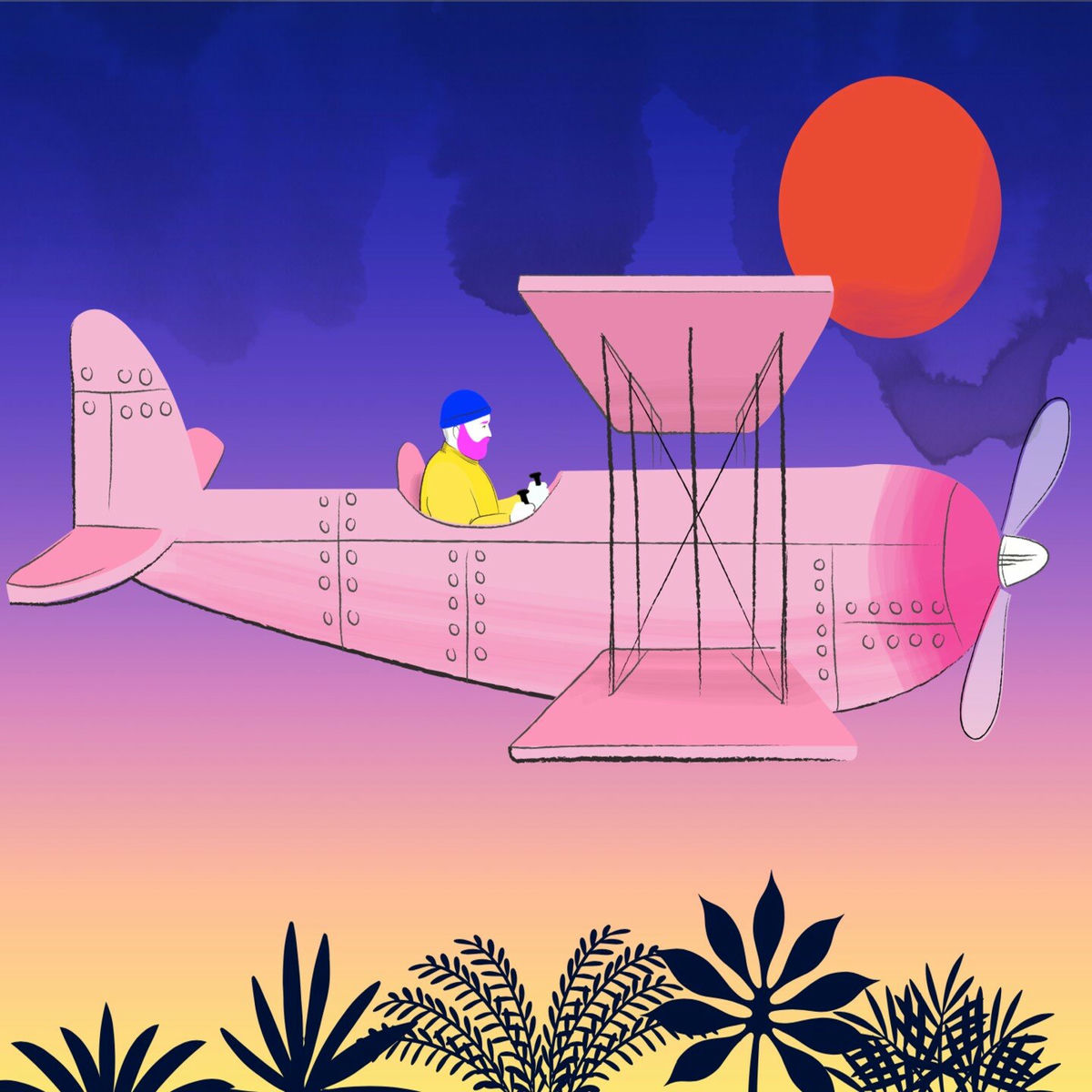 Album cover of Jumbo Plane