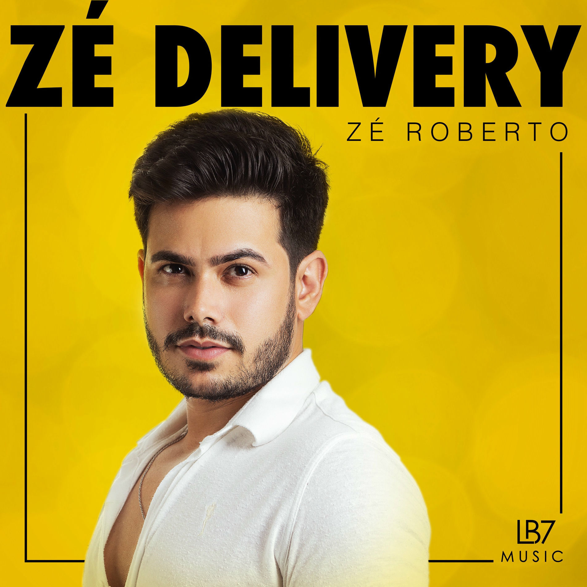 Album cover of Zé Delivery
