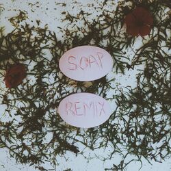 Cover of Soap (Remixes)