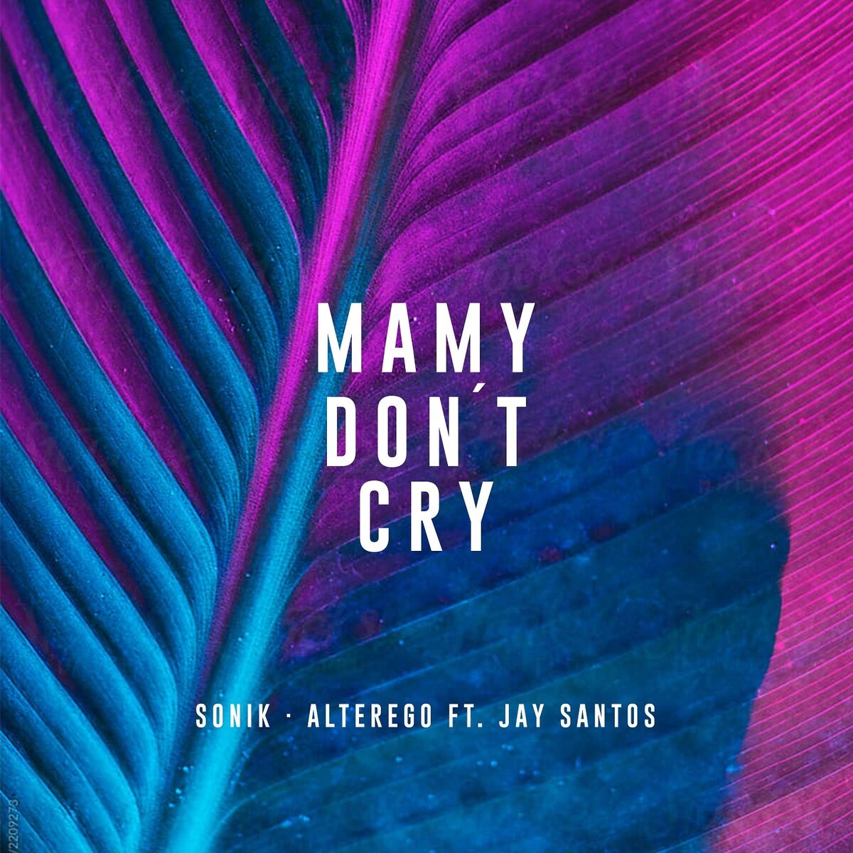 Album cover of Mamy Don't Cry