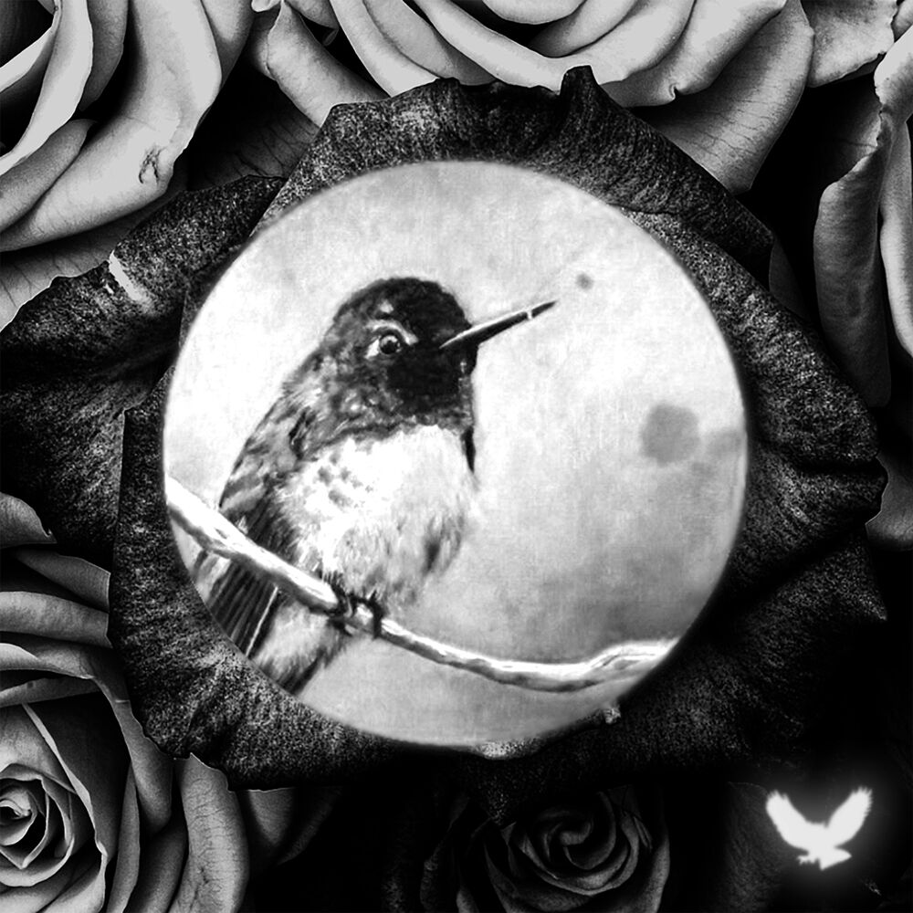 Picture of Lament (Rhodon Remix)
