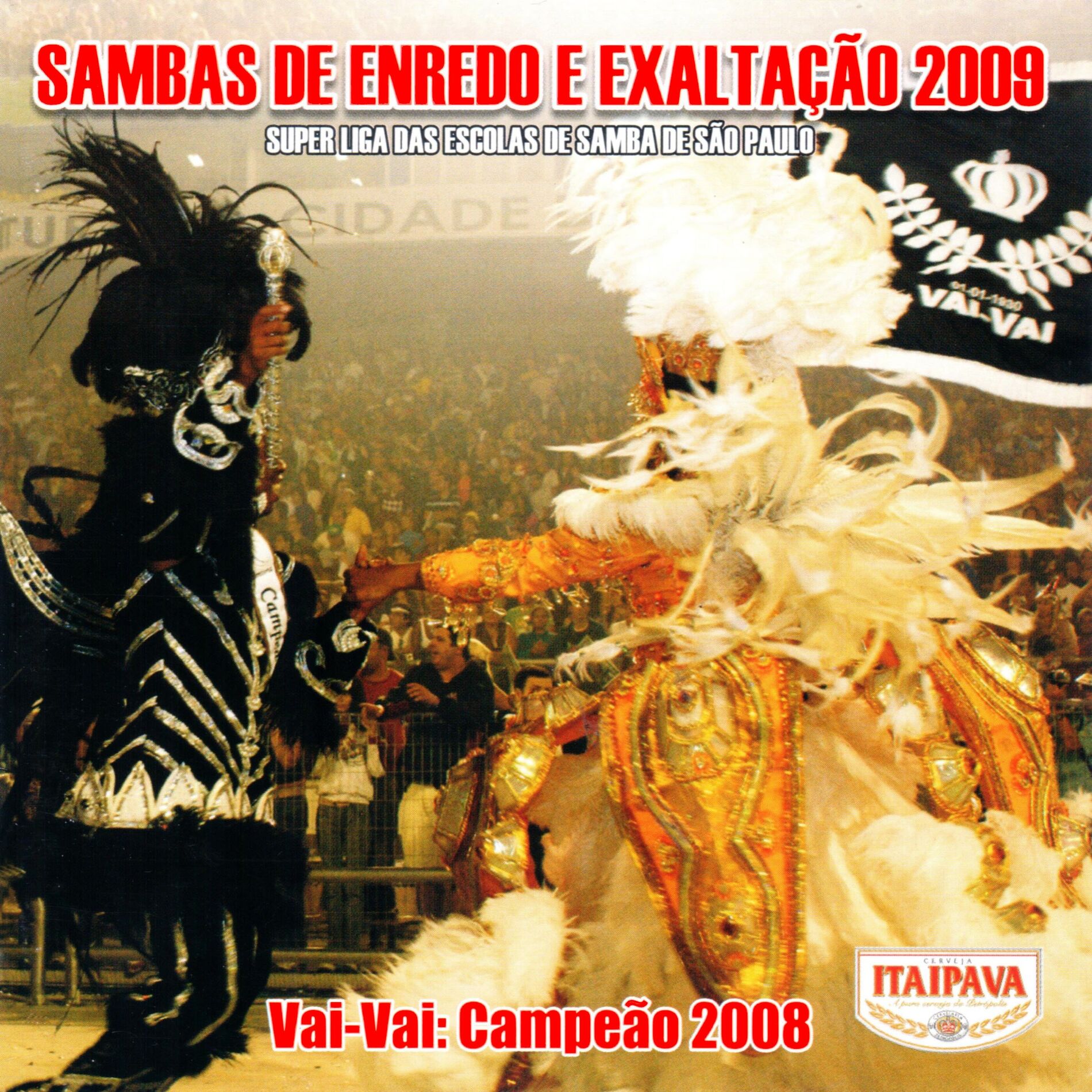 Album cover of Sambas Enredo e Exaltação 2009 - Super Liga