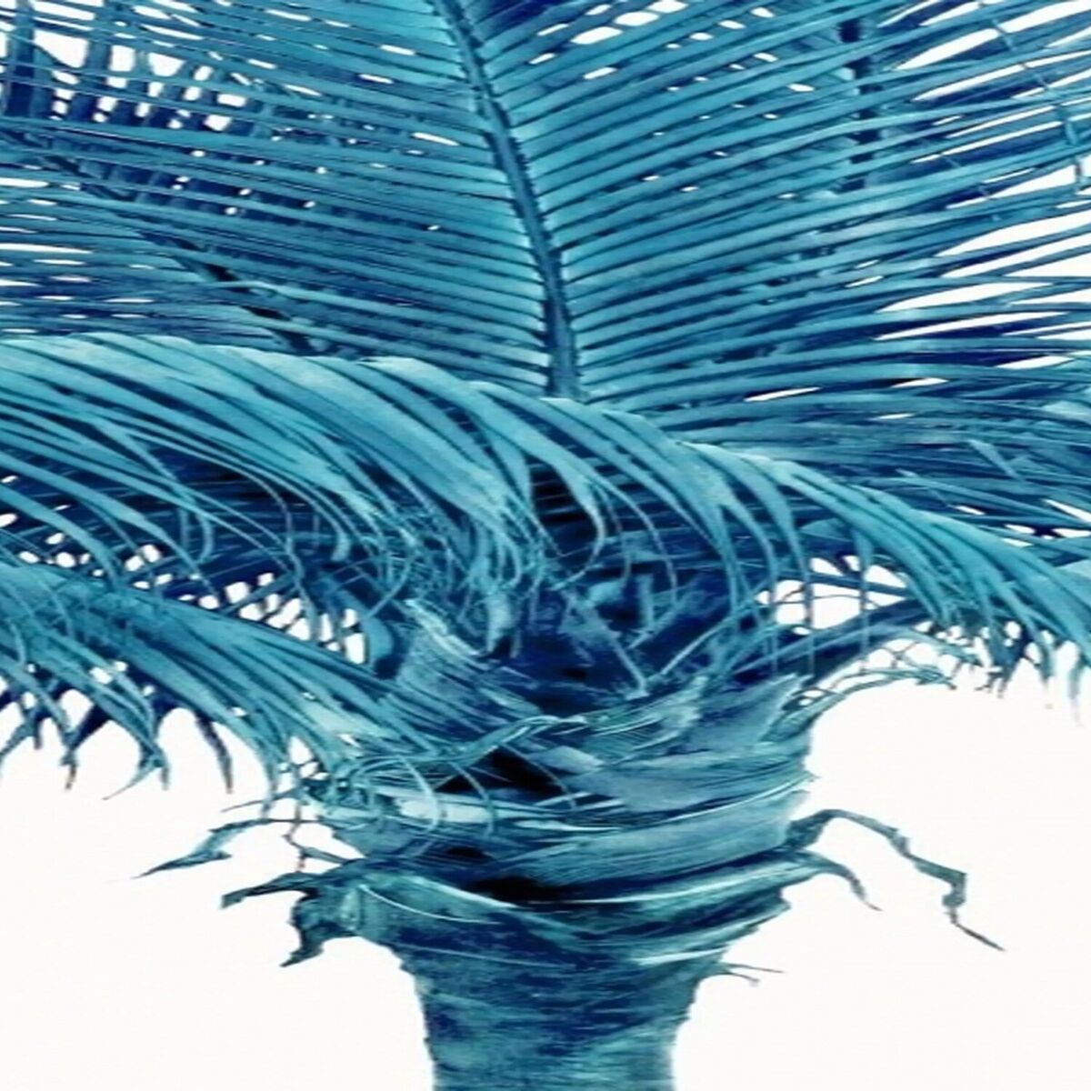 Album cover of Slow Ava