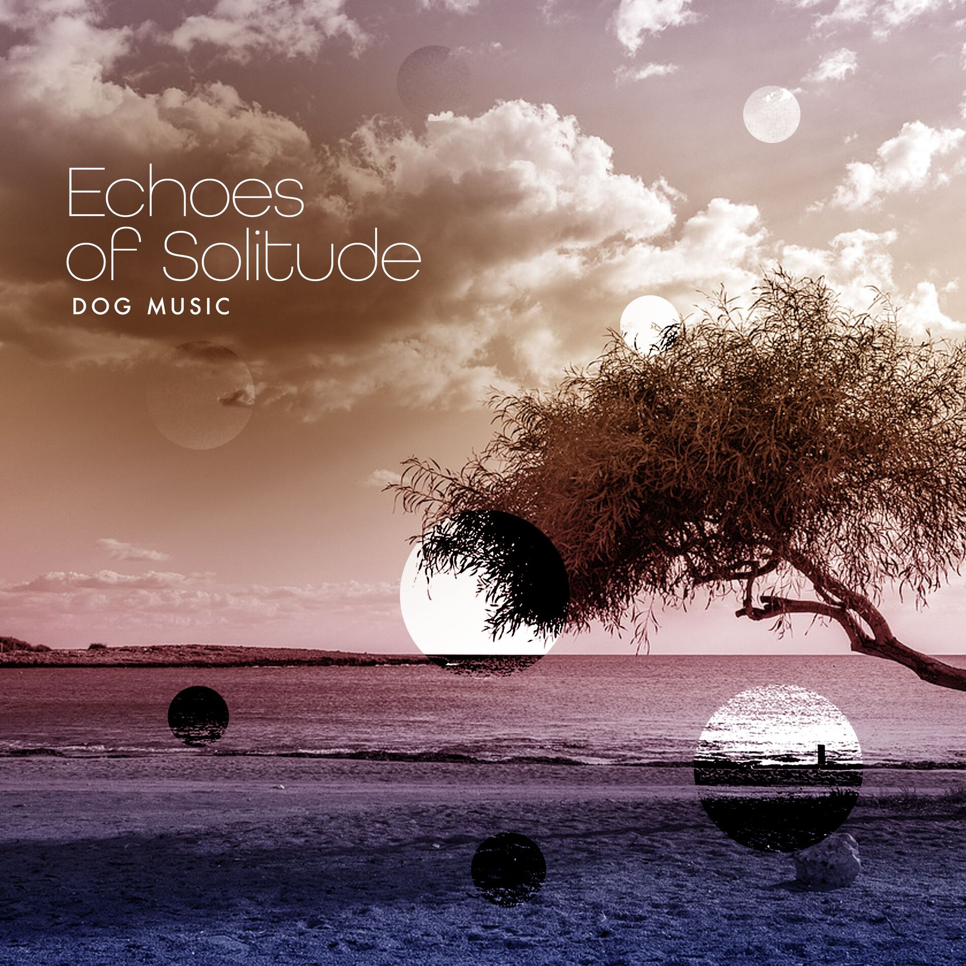 Album cover of Echoes of Solitude