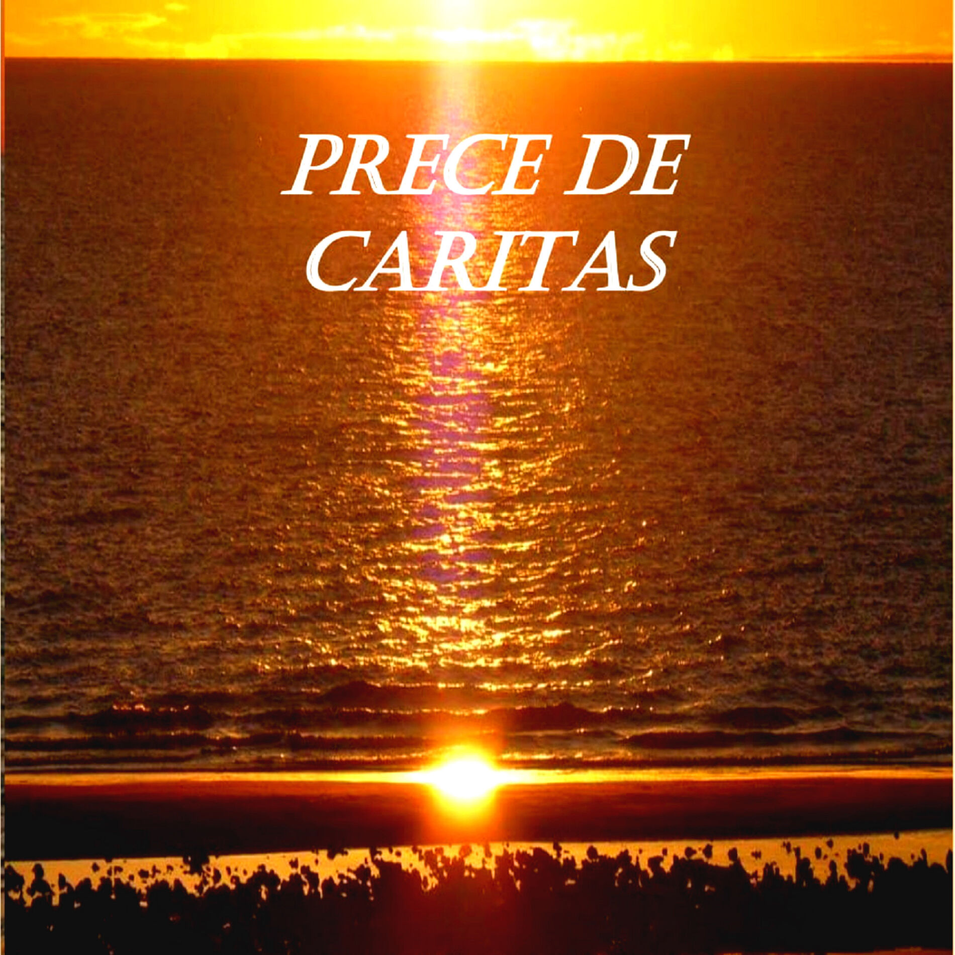 Album cover of Adagio