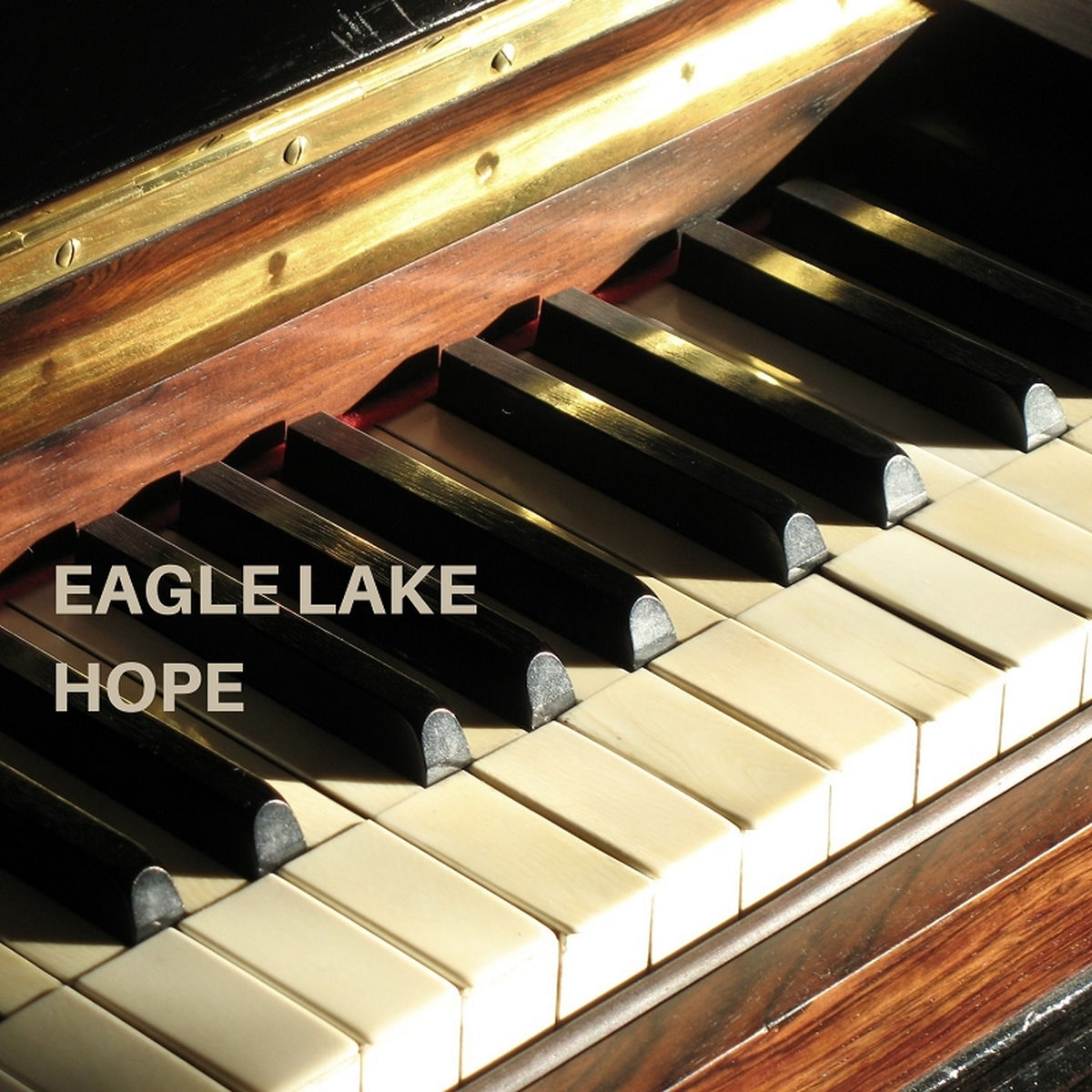 Album cover of Hope