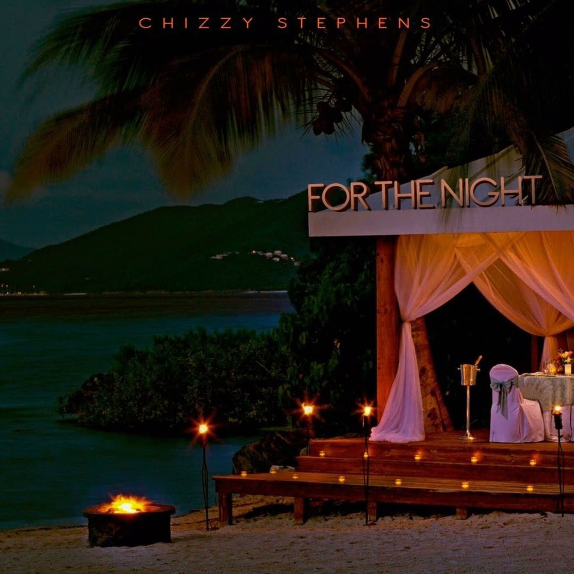 Album cover of For the Night