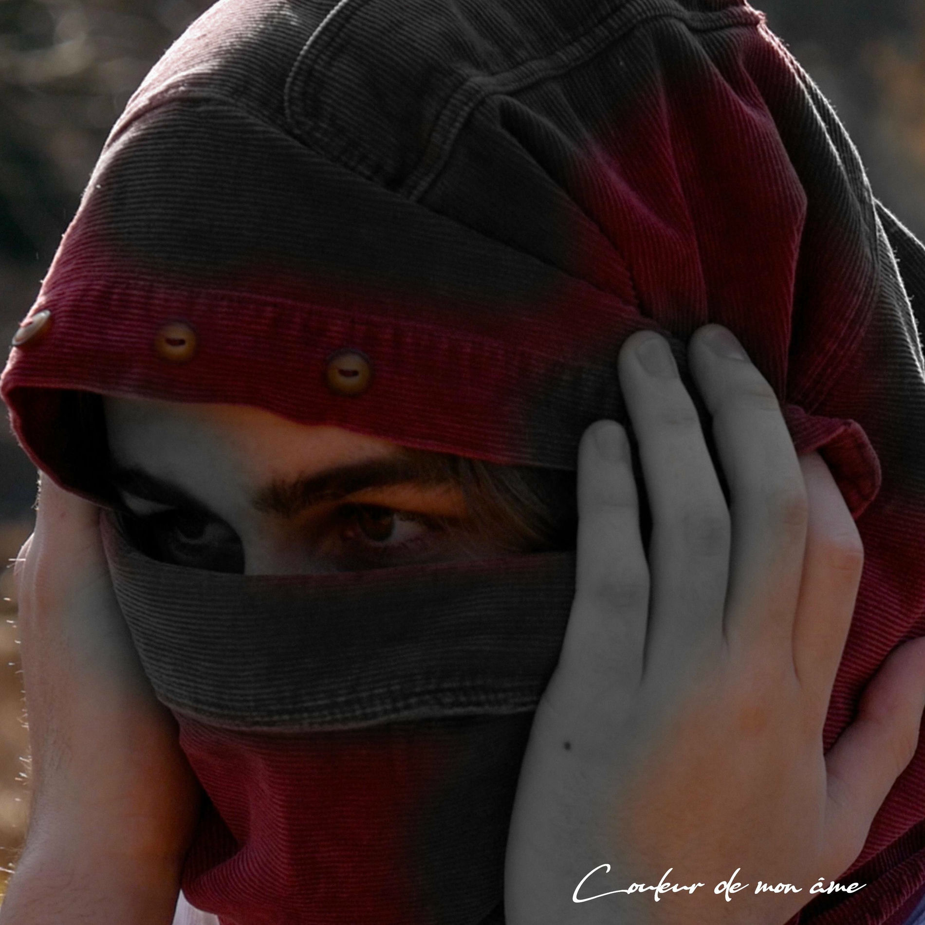 Album cover of Couleur de mon âme