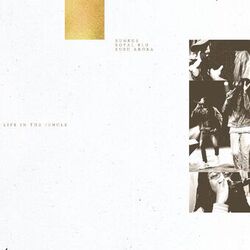 Cover of Life In The Jungle