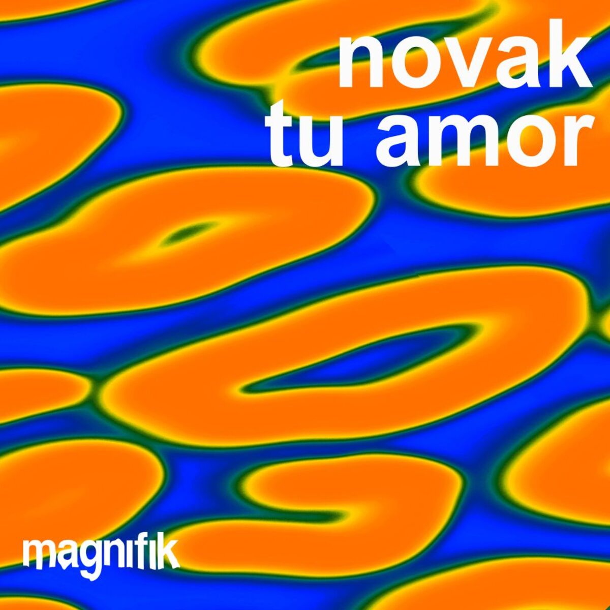 Album cover of Tu Amor