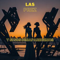 Cover of Y Si Nos Desaparecemos