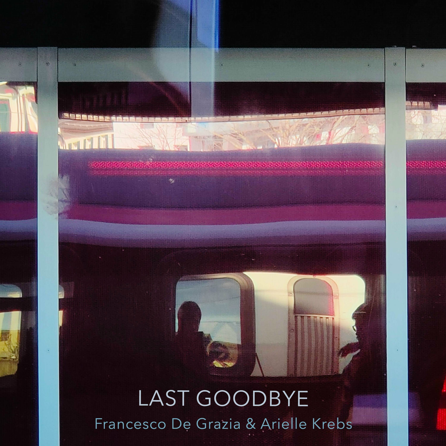Album cover of Last Goodbye