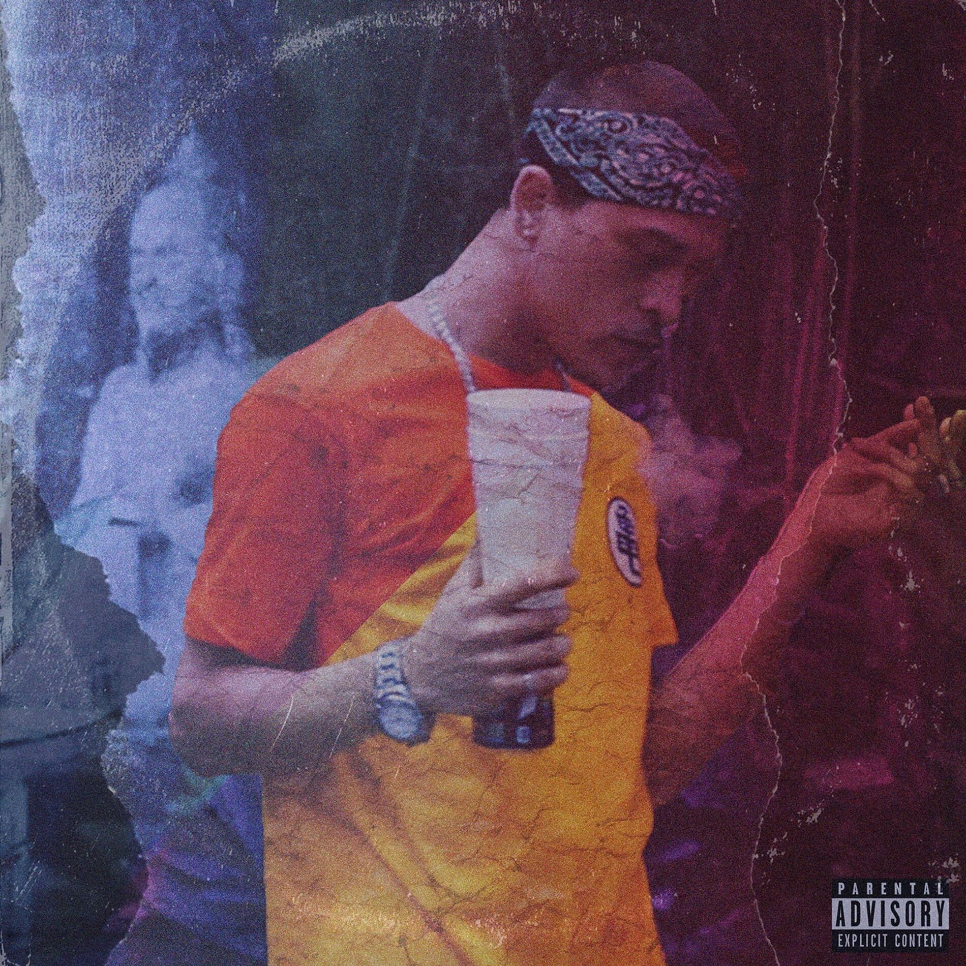Album cover of $emfolga