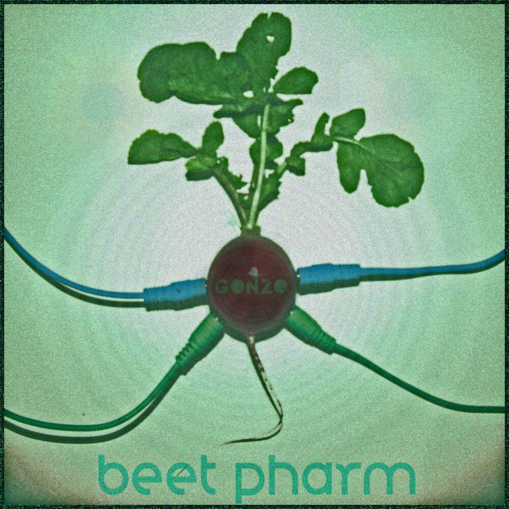 Picture of beet pharm