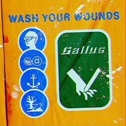 Cover of Wash Your Wounds
