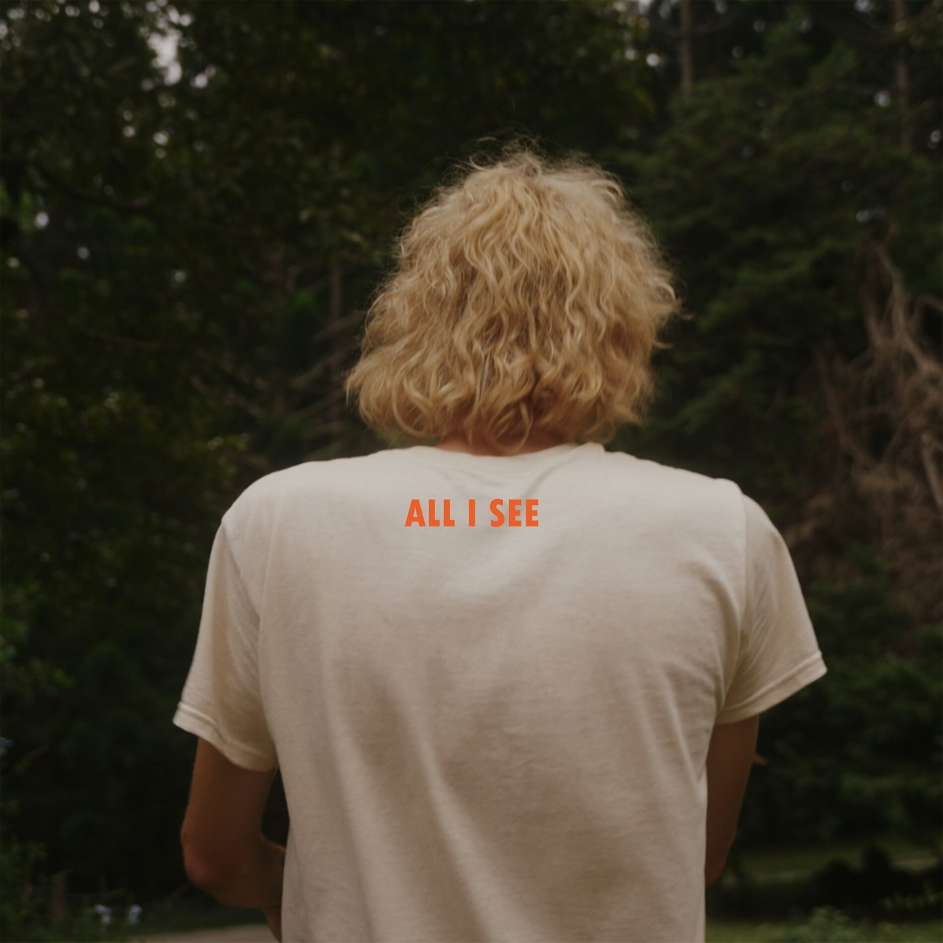Album cover of All I See