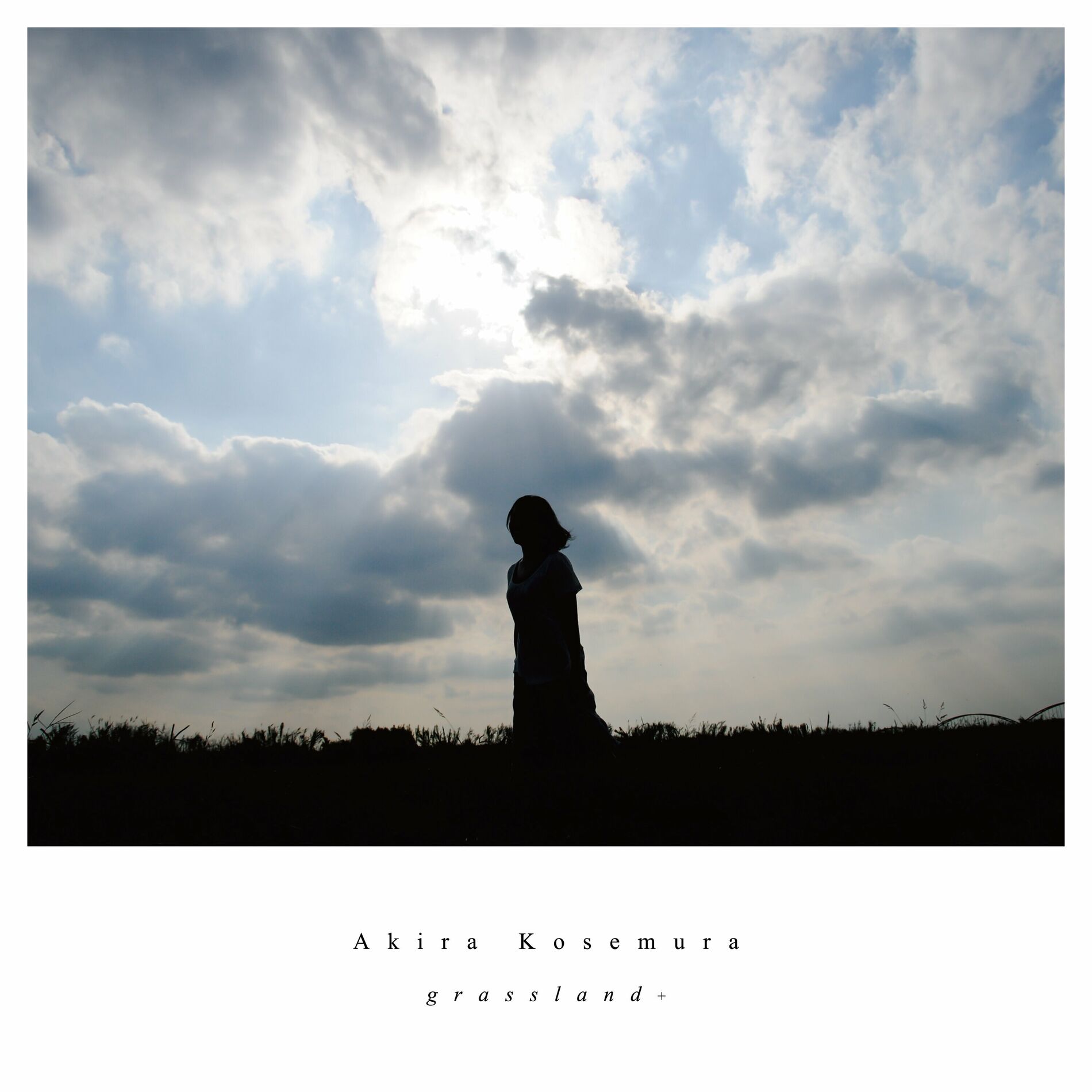 Album cover of Grassland+