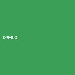 Cover of DRIVING