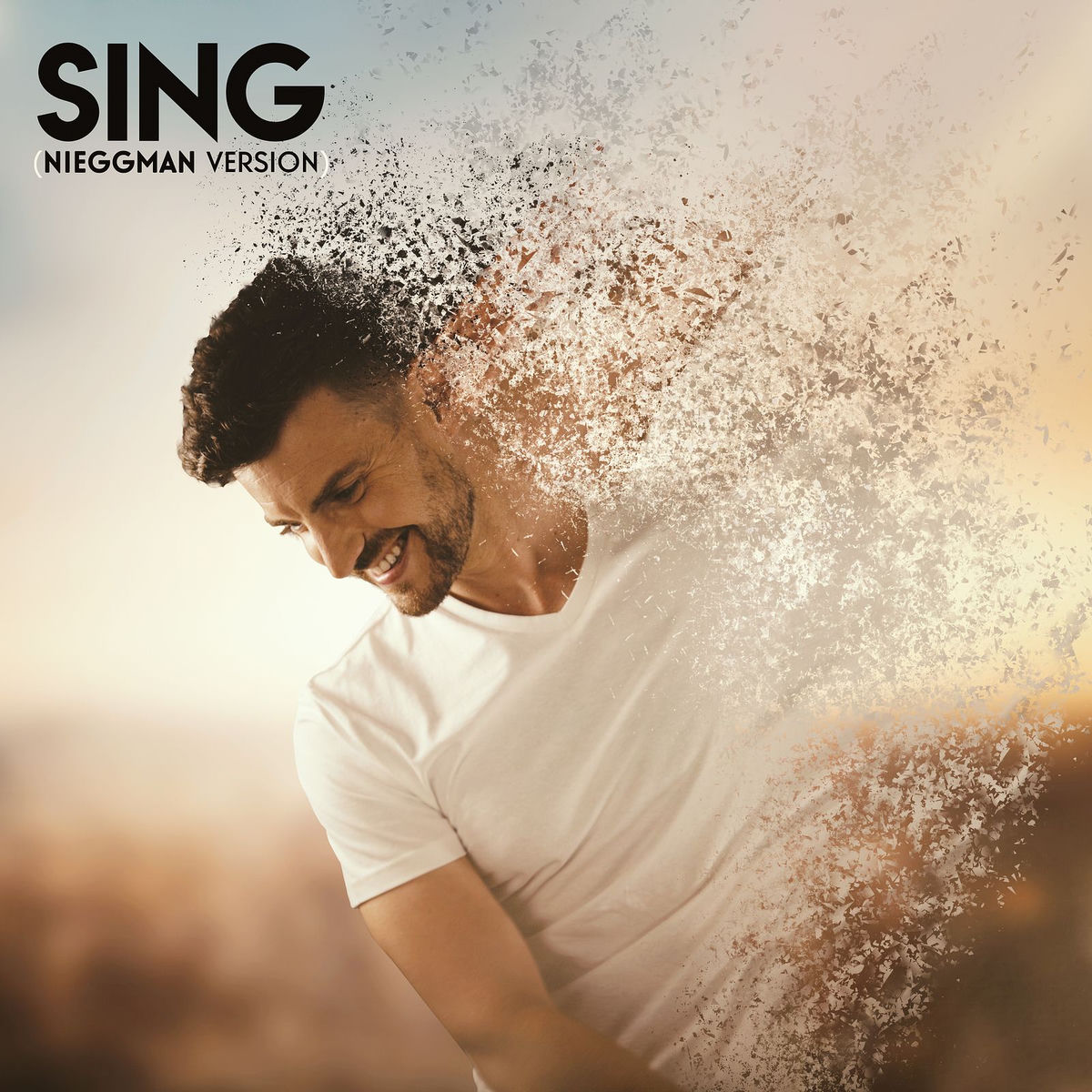 Album cover of Sing (Nieggman Version)