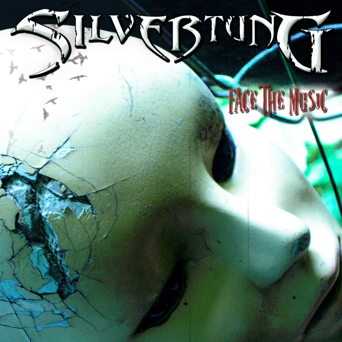 Album cover of Face the Music