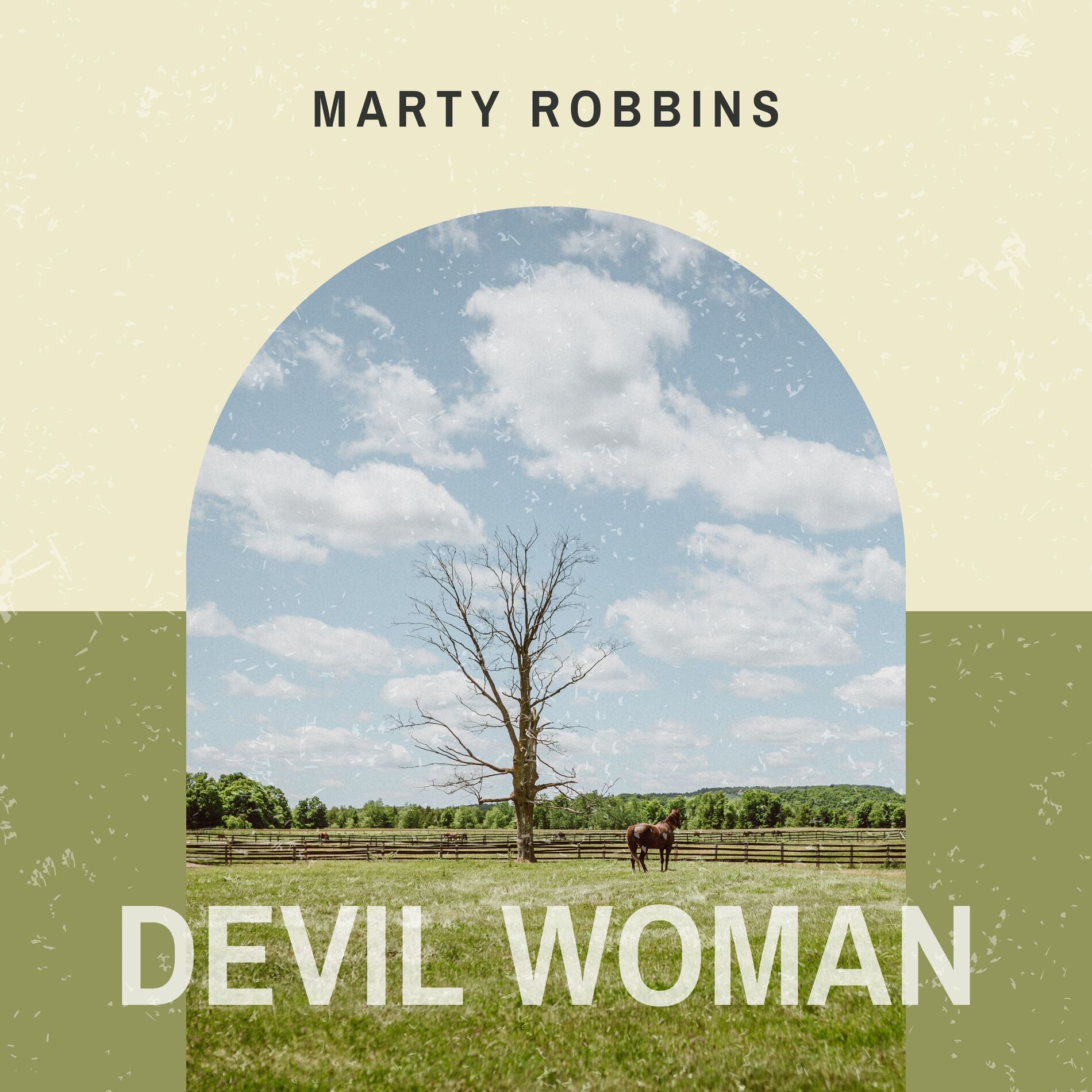 Album cover of Devil Woman