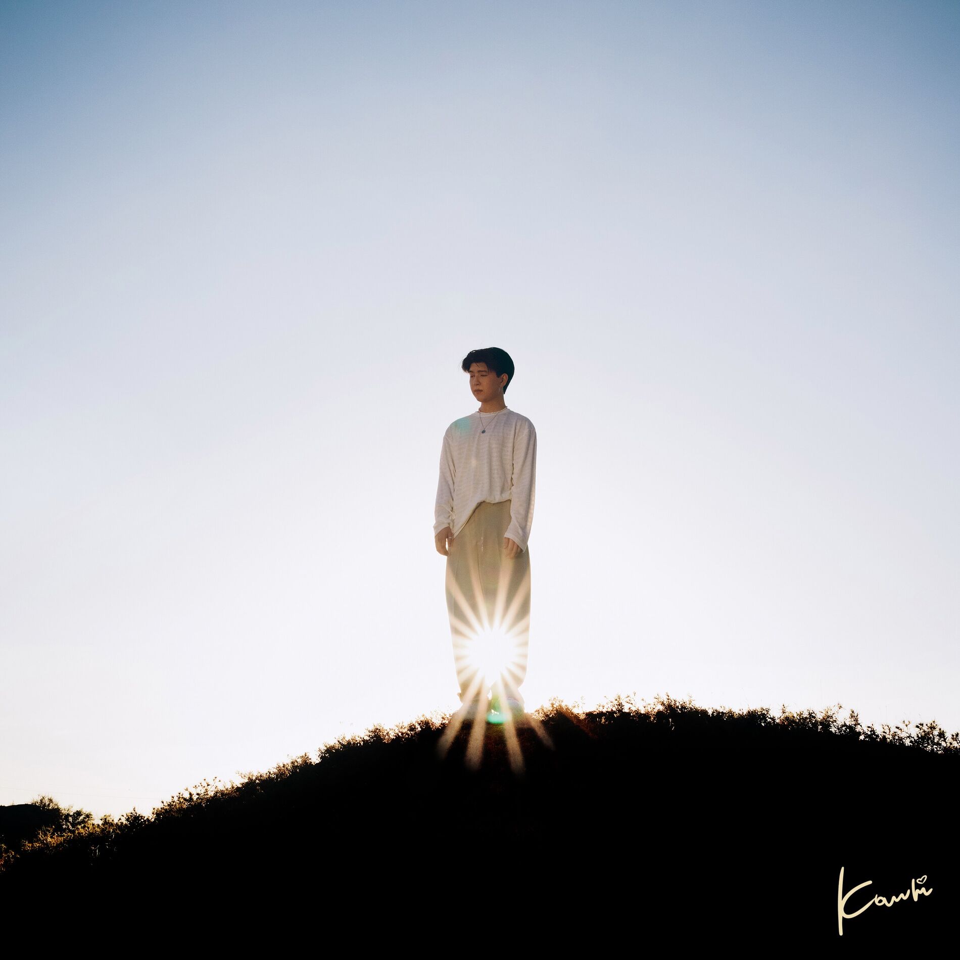 Album cover of Solar