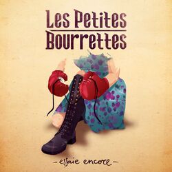 Cover of Essaie encore