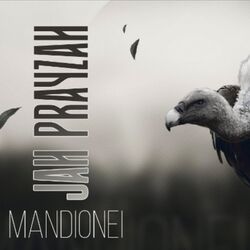 Cover of Mandionei
