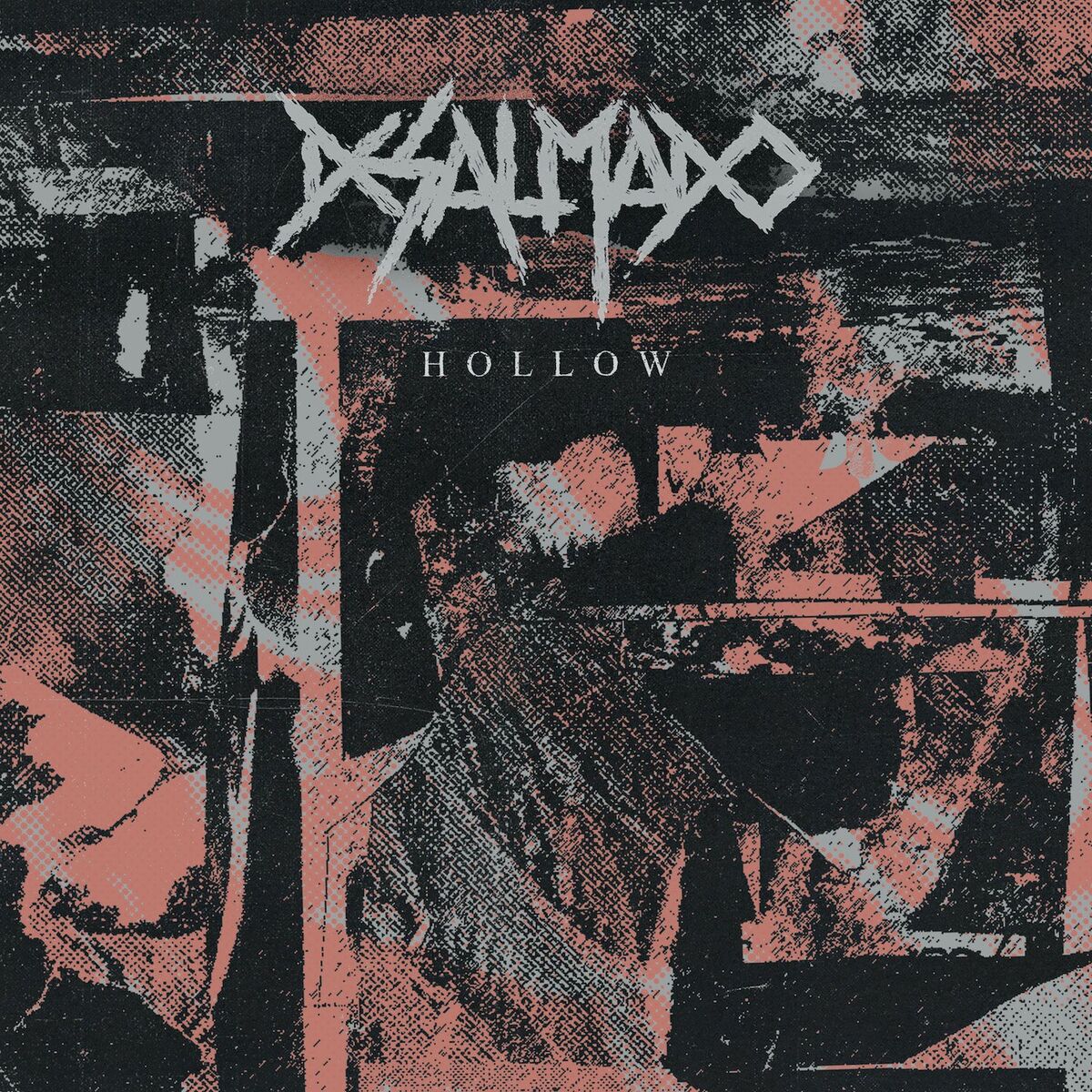 Album cover of Hollow