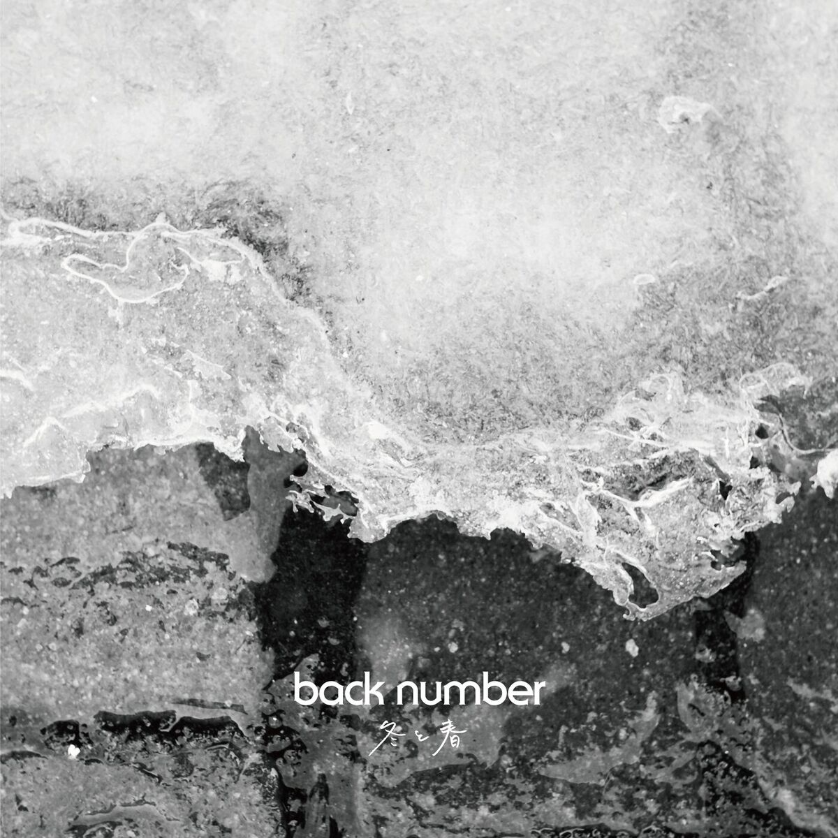 Album cover of Winter & Spring
