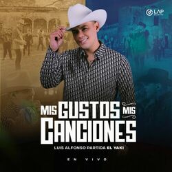 Cover of Mis Gustos Mis Canciones (En Vivo)