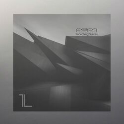 Cover of Searching Voices