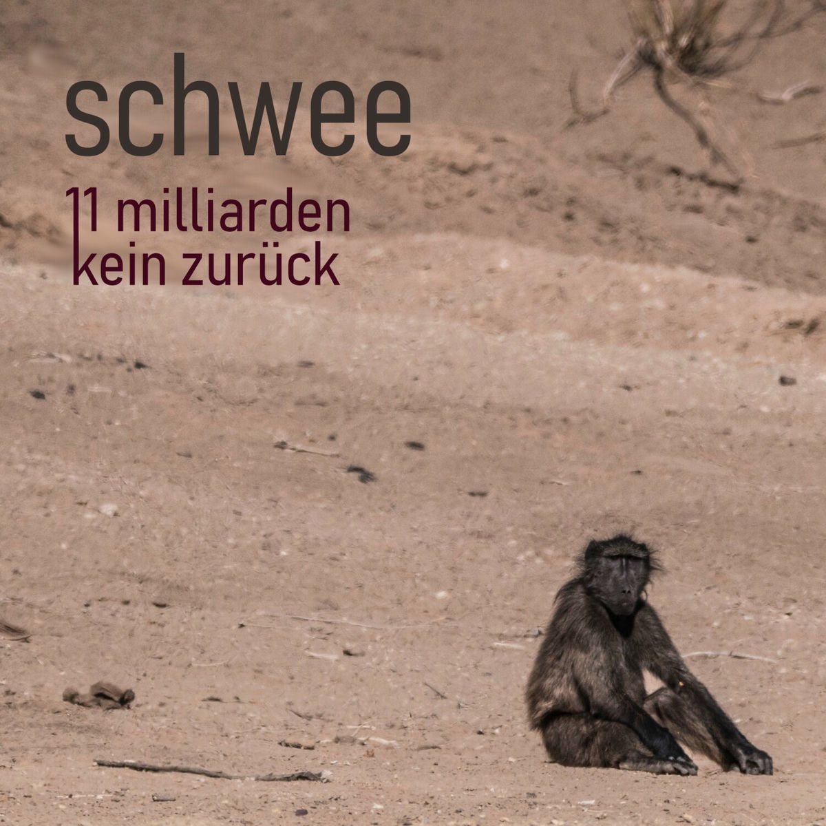 Album cover of Elf Milliarden, kein Zurück