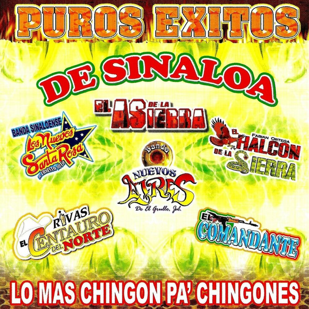 Picture of Puros Exitos De Sinaloa