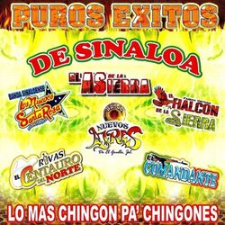 Cover of Puros Exitos De Sinaloa