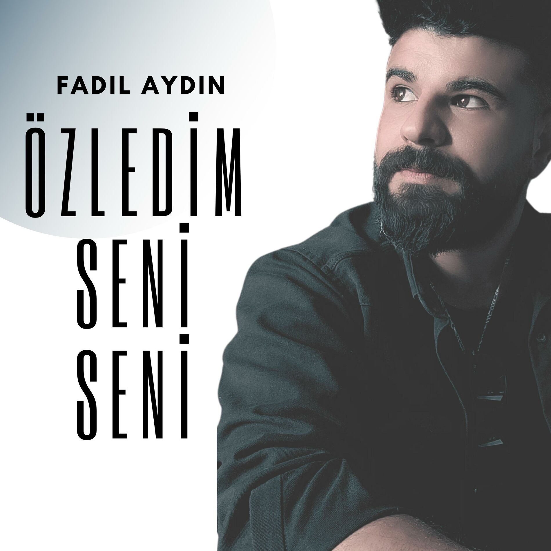 Album cover of ÖZLEDİM SENİ SENİ