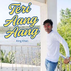 Cover of Teri Aang Aang