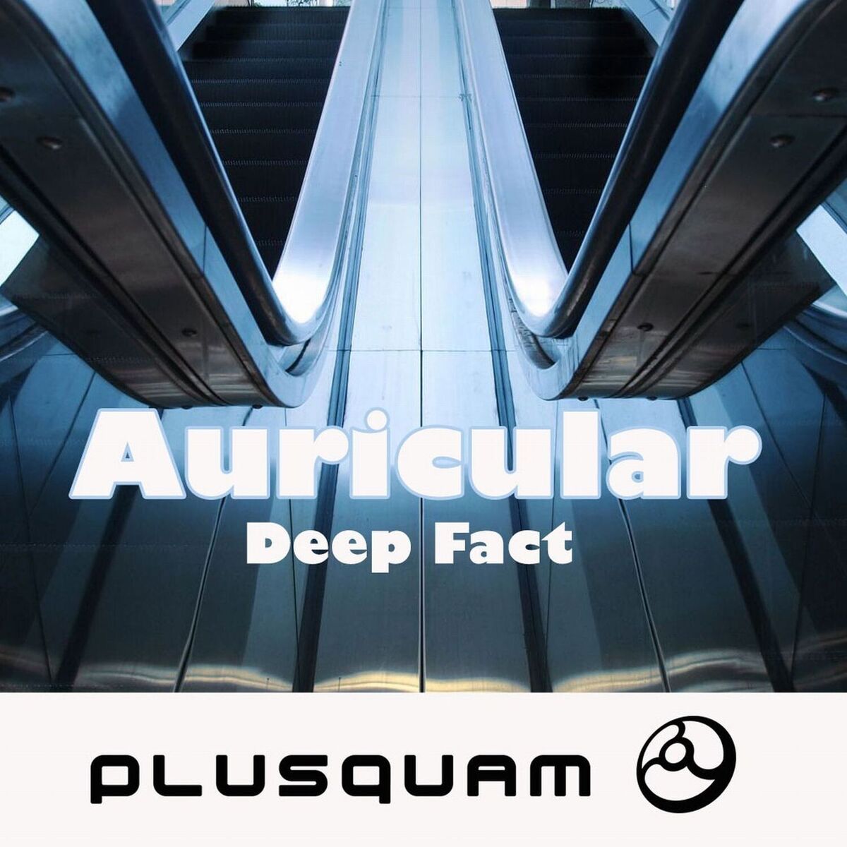 Album cover of Deep Fact