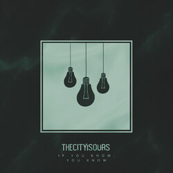 Cover of If You Know, You Know