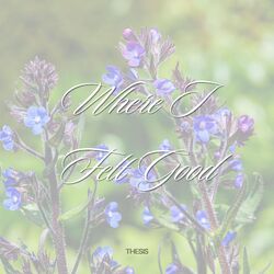 Cover of Where I Felt Good (radio edit)