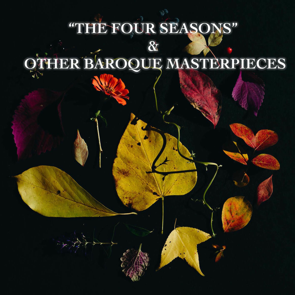 Album cover of 