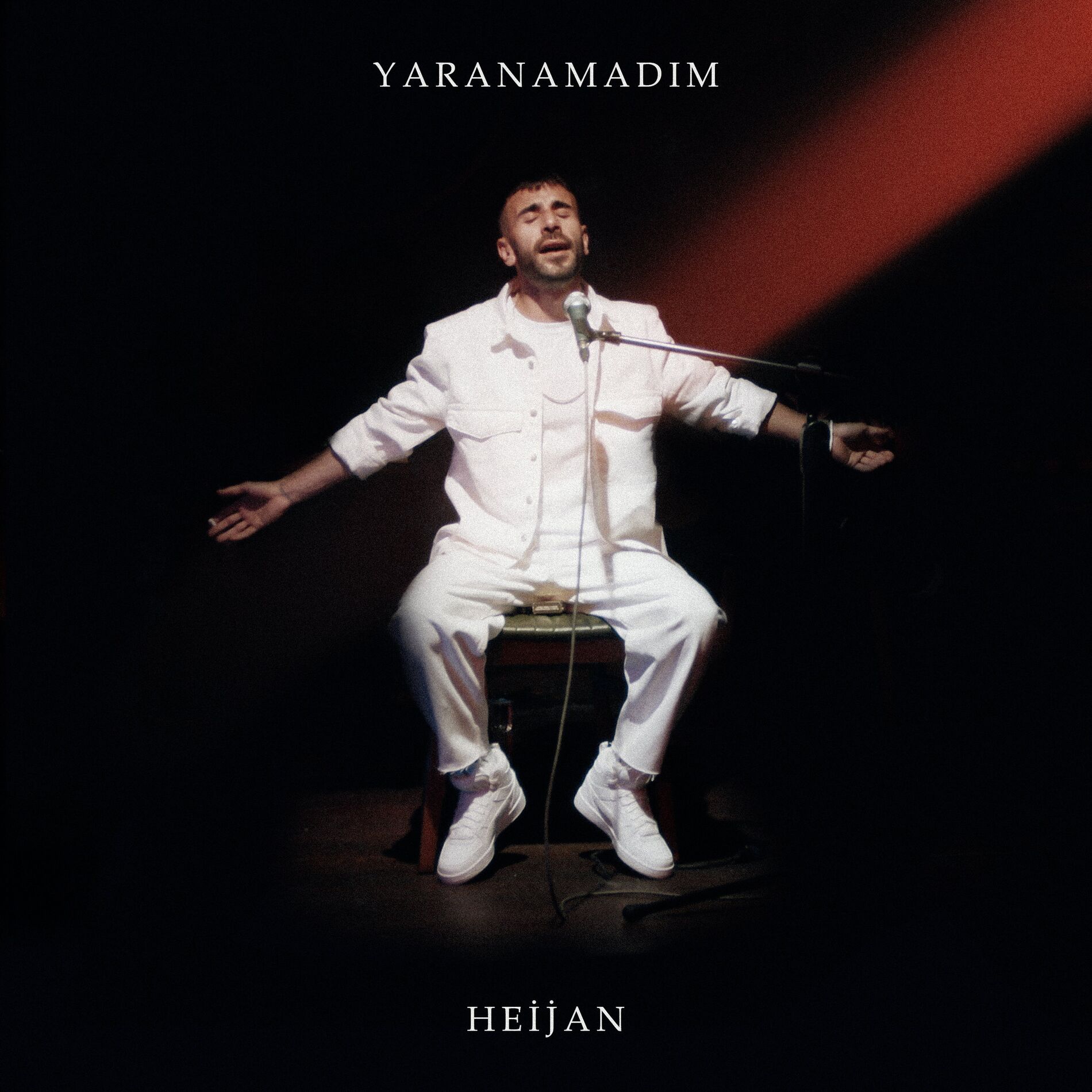 Album cover of Yaranamadım