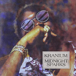 Cover of Midnight Sparks