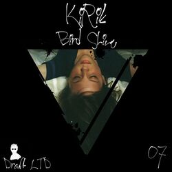 Cover of Bird Shine